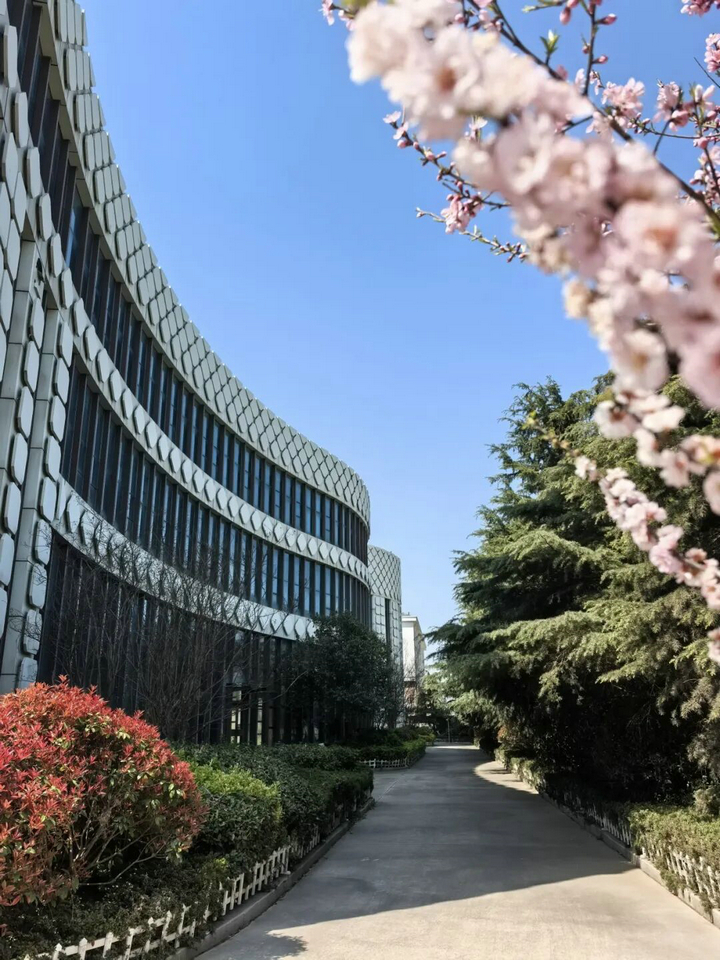 20260407春色滿廠區 “7S”管理添春暉2