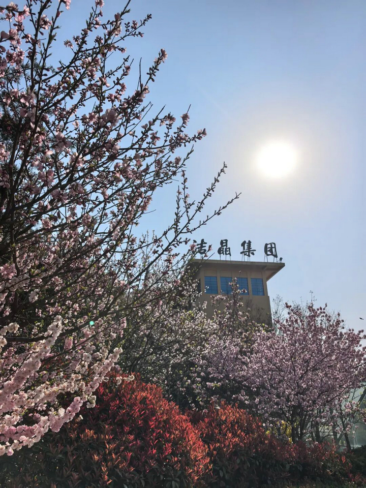 20260407春色滿廠區 “7S”管理添春暉6