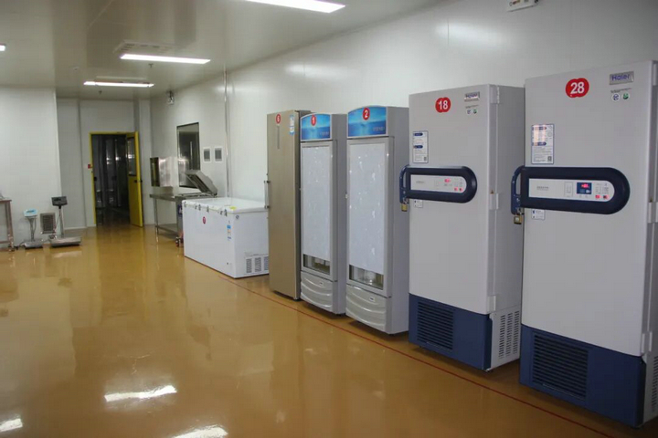 20260407春色滿廠區 “7S”管理添春暉10